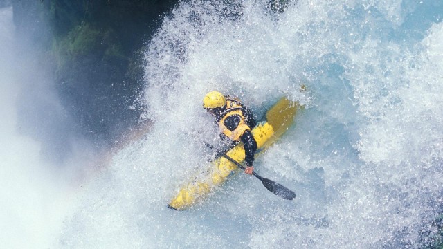 从零到冠军：新星如何书写逆袭传奇